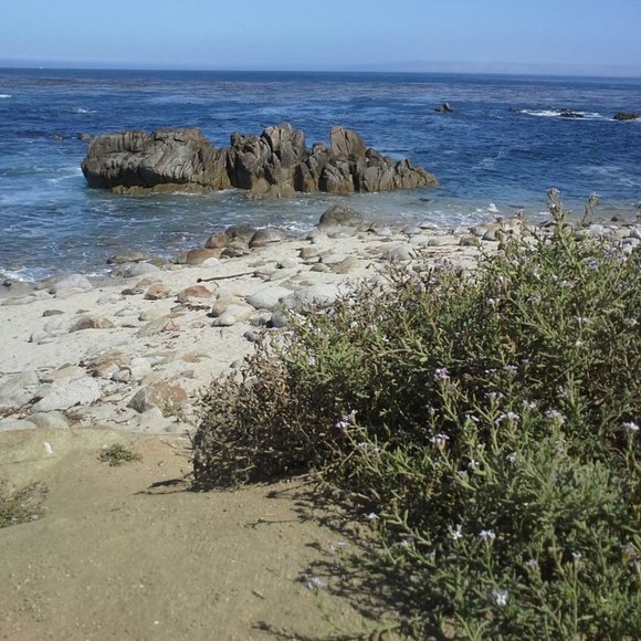 Meet your Posher, Nancy - Picture 1 of 1